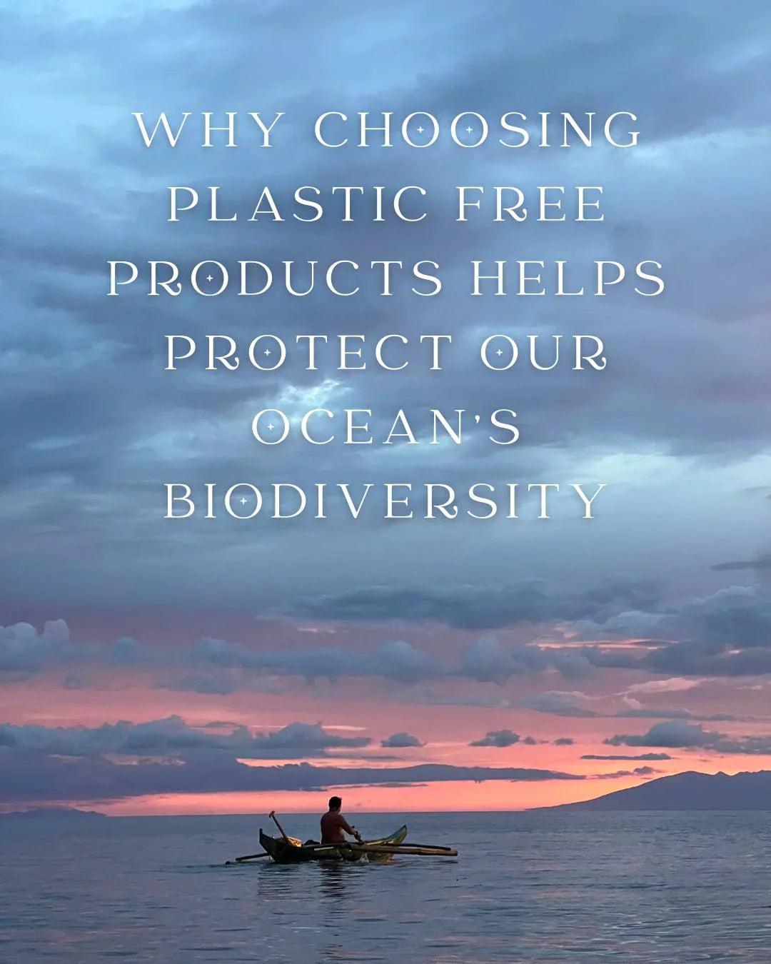 Why Choosing Plastic Free Products Helps Protect Our Ocean's Biodiversity