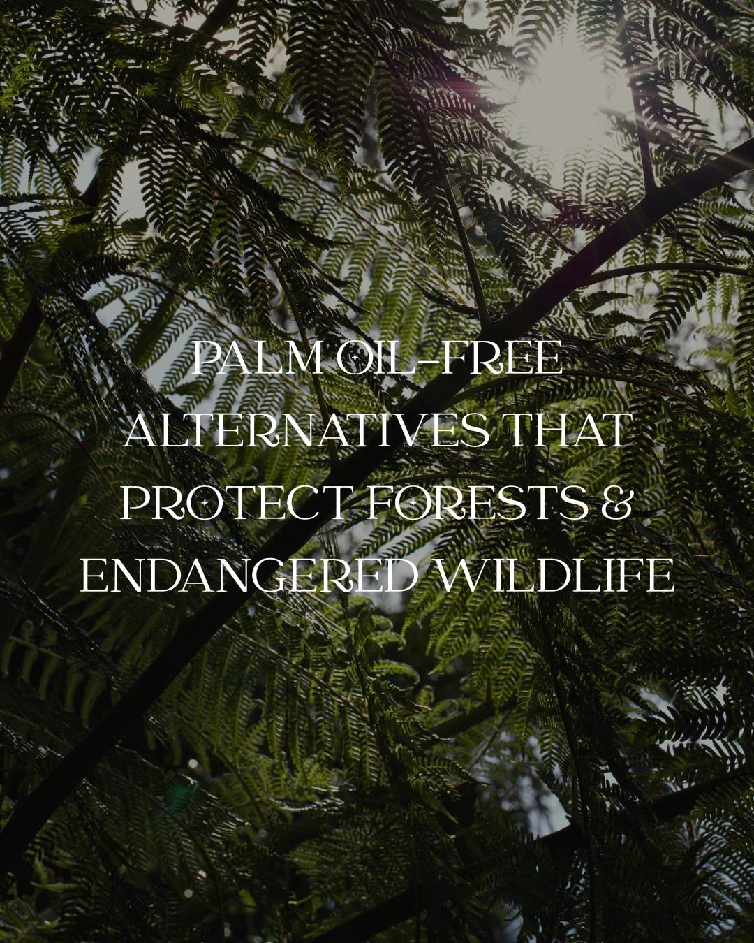 Palm Oil–Free Alternatives that Protect Forests and Endangered Wildlife