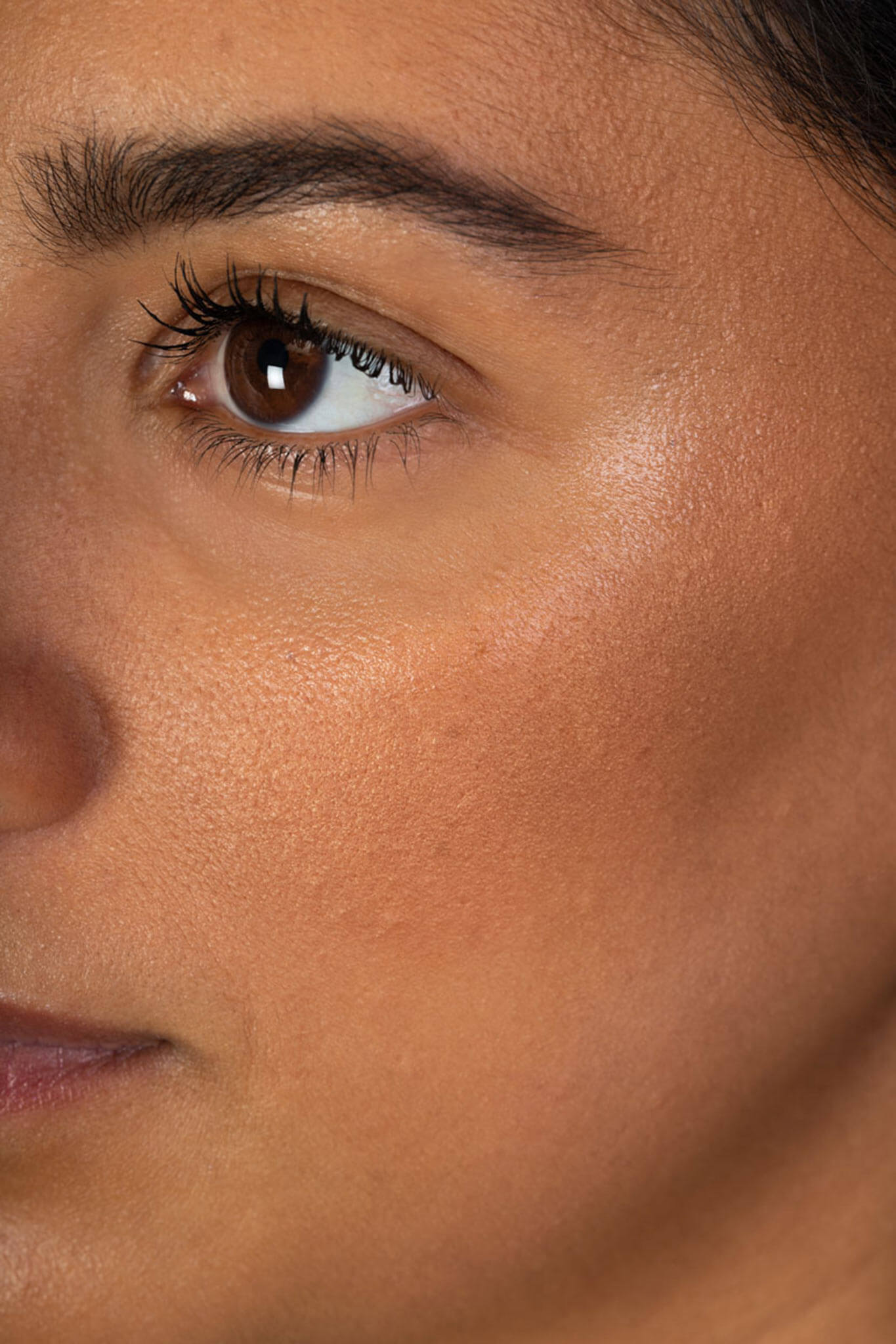 Dusty Pink Pure Pressed Mineral Blush
