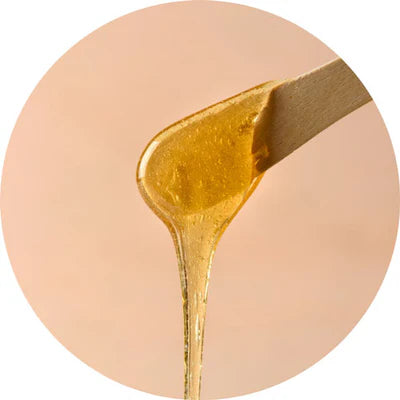 Organic Carnauba Wax